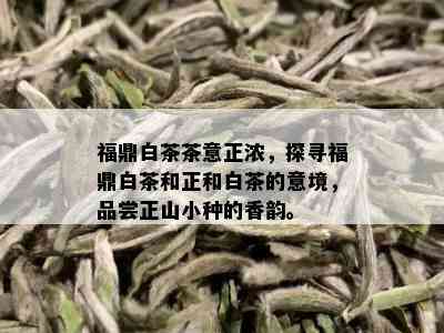 福鼎白茶茶意正浓，探寻福鼎白茶和正和白茶的意境，品尝正山小种的香韵。