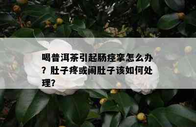 喝普洱茶引起肠痉挛怎么办？肚子疼或闹肚子该如何处理？