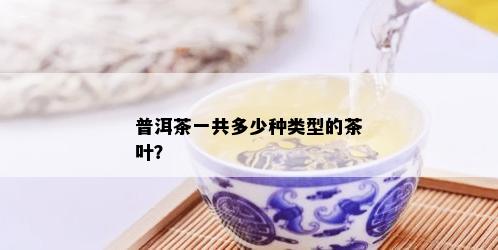 普洱茶一共多少种类型的茶叶？