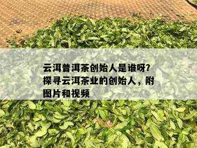 云洱普洱茶创始人是谁呀？探寻云洱茶业的创始人，附图片和视频