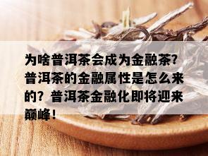 为啥普洱茶会成为金融茶？普洱茶的金融属性是怎么来的？普洱茶金融化即将迎来巅峰！