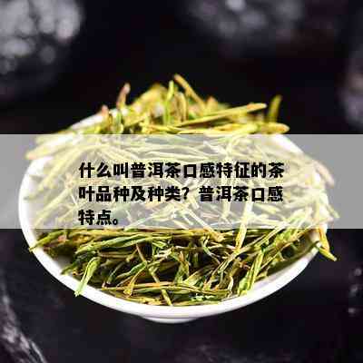 什么叫普洱茶口感特征的茶叶品种及种类？普洱茶口感特点。