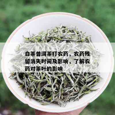 白茶普洱茶打农，农残留消失时间及影响，了解农对茶叶的影响