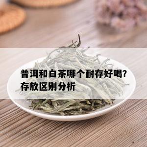 普洱和白茶哪个耐存好喝？存放区别分析