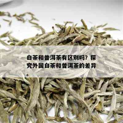 白茶和普洱茶有区别吗？探究外国白茶和普洱茶的差异。