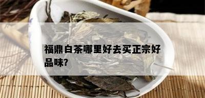 福鼎白茶哪里好去买正宗好品味？