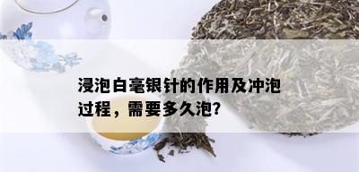 浸泡白毫银针的作用及冲泡过程，需要多久泡？