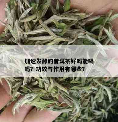 加速发酵的普洱茶好吗能喝吗？功效与作用有哪些？