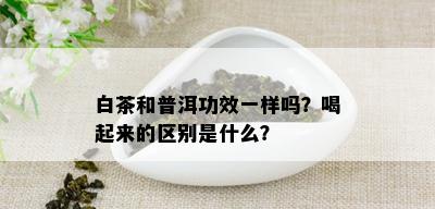 白茶和普洱功效一样吗？喝起来的区别是什么？