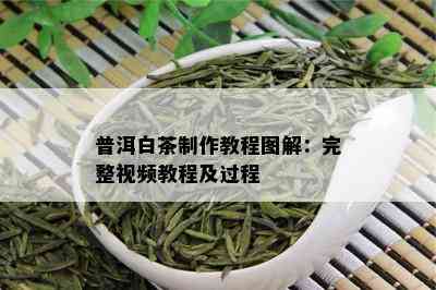 普洱白茶制作教程图解：完整视频教程及过程