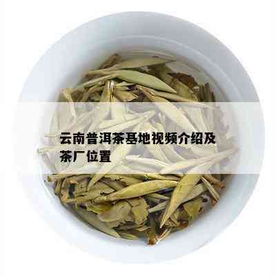 云南普洱茶基地视频介绍及茶厂位置