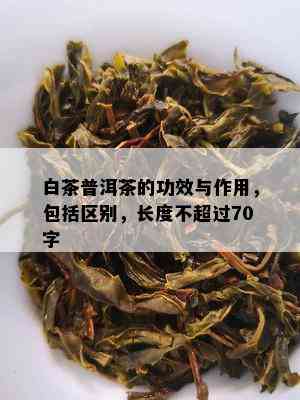 白茶普洱茶的功效与作用，包括区别，长度不超过70字