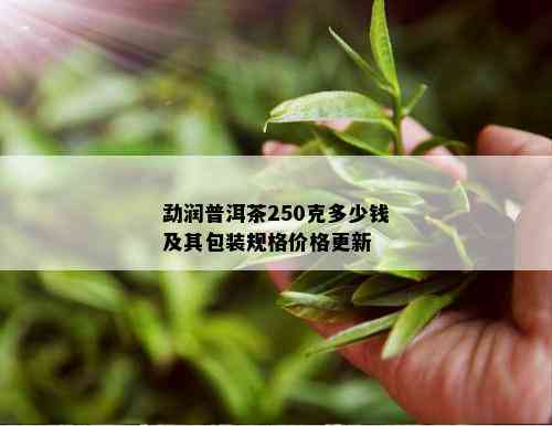 勐润普洱茶250克多少钱及其包装规格价格更新