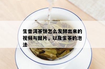 生普洱茶饼怎么发酵出来的视频与图片，以及生茶的泡法