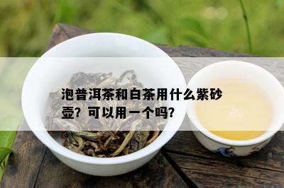 泡普洱茶和白茶用什么紫砂壶？可以用一个吗？