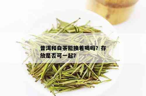 普洱和白茶能换着喝吗？存放是否可一起？