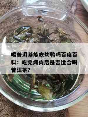 喝普洱茶能吃烤鸭吗百度百科：吃完烤肉后是否适合喝普洱茶？