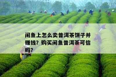 闲鱼上怎么卖普洱茶饼子并赚钱？购买闲鱼普洱茶可信吗？