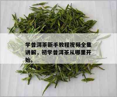 学普洱茶新手教程视频全集讲解，初学普洱茶从哪里开始。