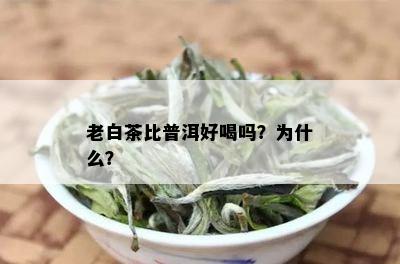 老白茶比普洱好喝吗？为什么？