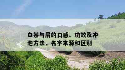 白茶与眉的口感、功效及冲泡方法，名字来源和区别