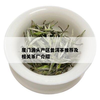 厦门源头产区普洱茶推荐及相关茶厂介绍