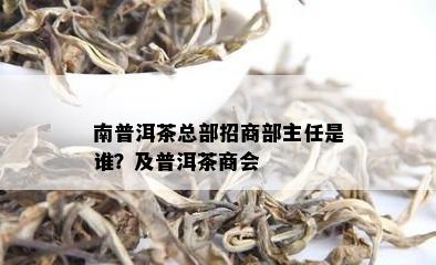 南普洱茶总部招商部主任是谁？及普洱茶商会