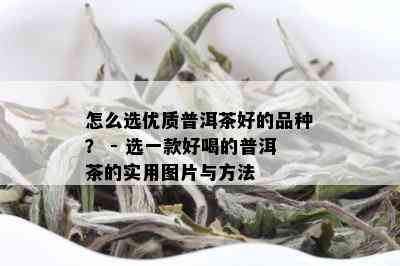 怎么选优质普洱茶好的品种？ - 选一款好喝的普洱茶的实用图片与方法