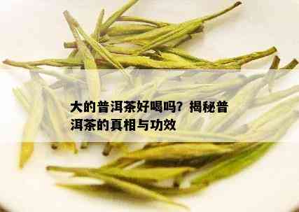 大的普洱茶好喝吗？揭秘普洱茶的真相与功效