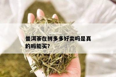 普洱茶在拼多多好卖吗是真的吗能买？