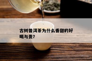 古树普洱茶为什么香甜的好喝与贵？