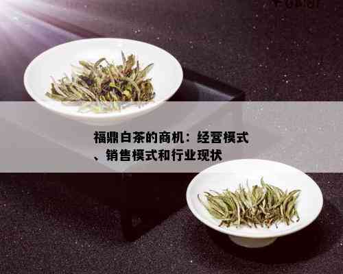 福鼎白茶的商机：经营模式、销售模式和行业现状