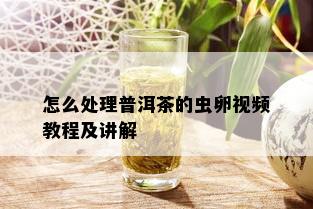 怎么处理普洱茶的虫卵视频教程及讲解