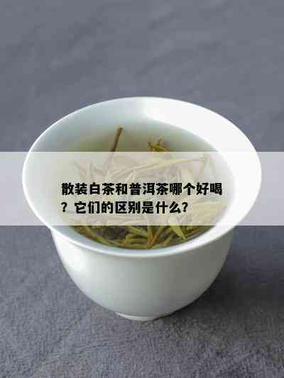 散装白茶和普洱茶哪个好喝？它们的区别是什么？