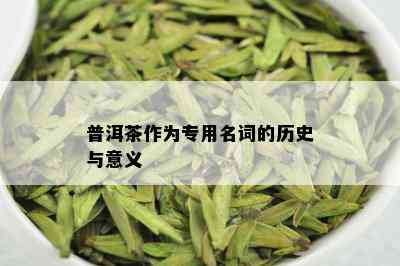 普洱茶作为专用名词的历史与意义