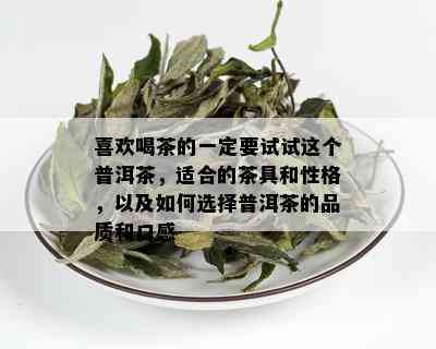 喜欢喝茶的一定要试试这个普洱茶，适合的茶具和性格，以及如何选择普洱茶的品质和口感