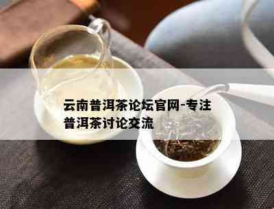 云南普洱茶论坛官网-专注普洱茶讨论交流