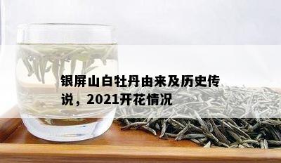 银屏山白牡丹由来及历史传说，2021开花情况