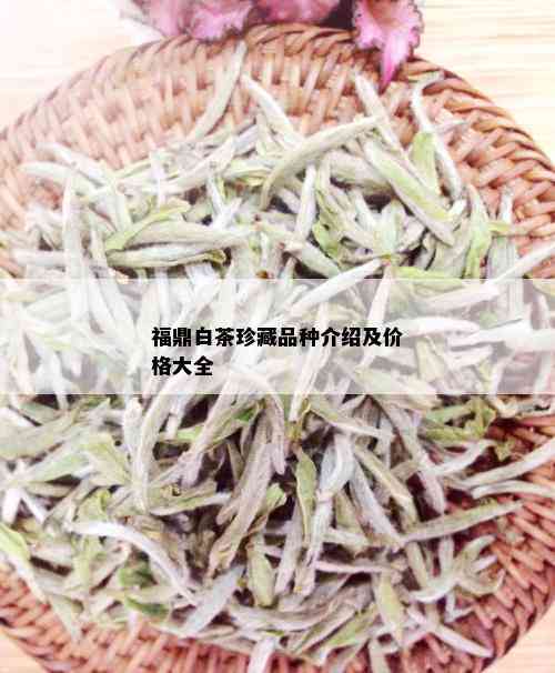 福鼎白茶珍藏品种介绍及价格大全