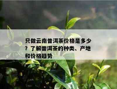 只做云南普洱茶价格是多少？了解普洱茶的种类、产地和价格趋势