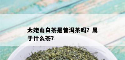 太姥山白茶是普洱茶吗？属于什么茶？