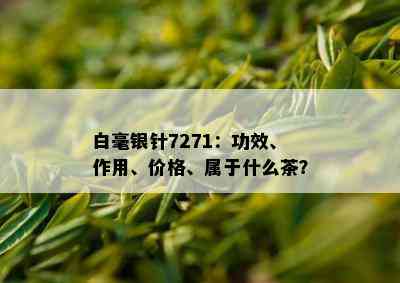 白毫银针7271：功效、作用、价格、属于什么茶？