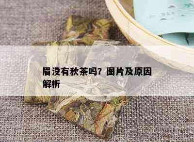 眉没有秋茶吗？图片及原因解析