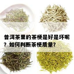 普洱茶里的茶梗是好是坏呢？如何判断茶梗质量？