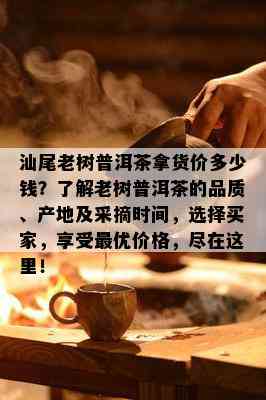 汕尾老树普洱茶拿货价多少钱？了解老树普洱茶的品质、产地及采摘时间，选择买家，享受更优价格，尽在这里！