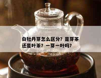 白牡丹芽怎么区分？是芽茶还是叶茶？一芽一叶吗？