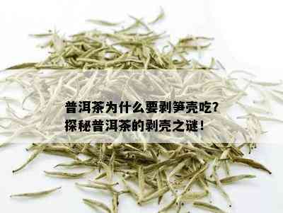 普洱茶为什么要剥笋壳吃？探秘普洱茶的剥壳之谜！