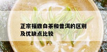 正宗福鼎白茶和普洱的区别及优缺点比较