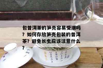 包普洱茶的笋壳容易受潮吗？如何存放笋壳包装的普洱茶？避免长虫应该注意什么？