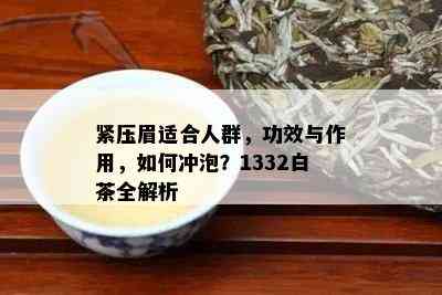 紧压眉适合人群，功效与作用，如何冲泡？1332白茶全解析